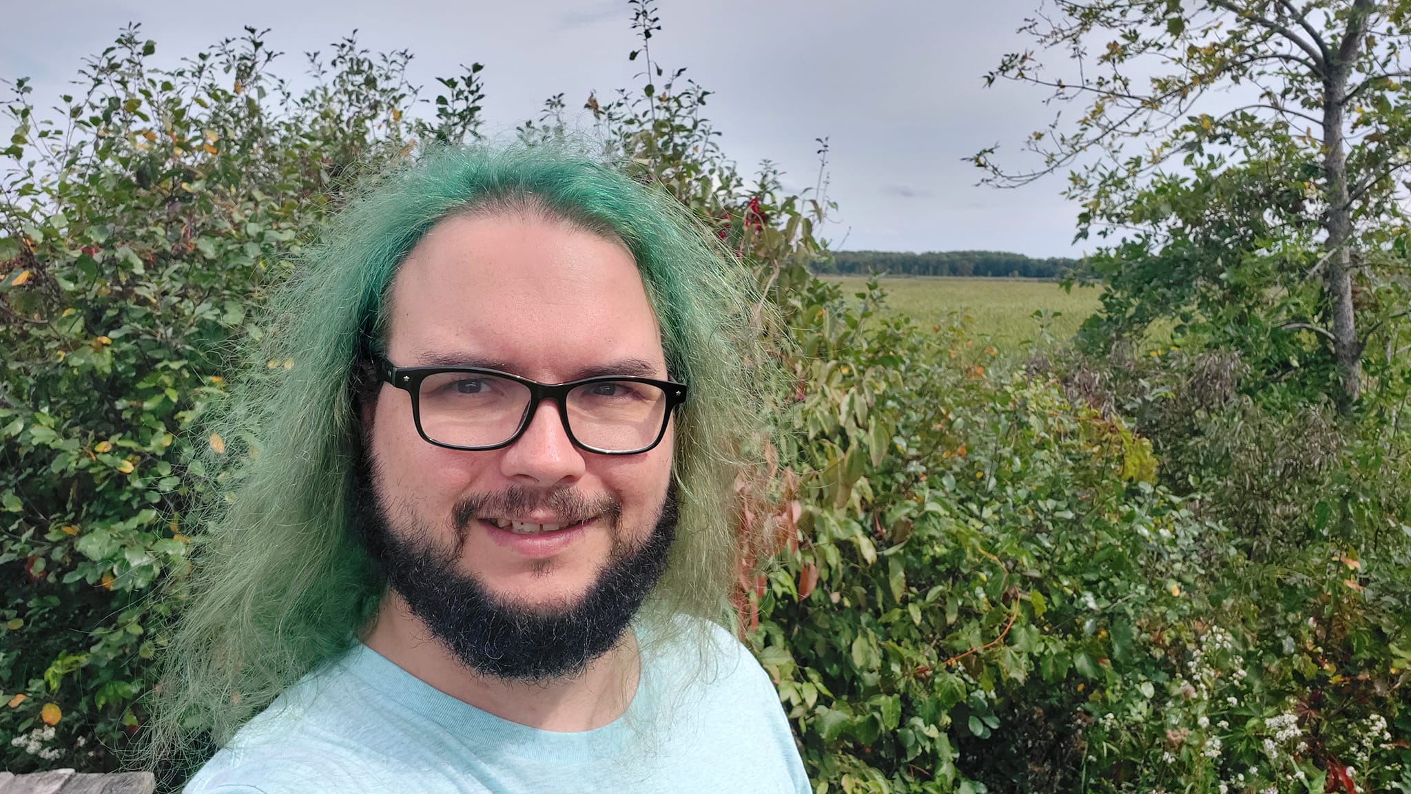 A man with green hair stands in front of a marsh, Photo 1